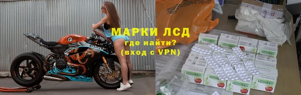 амф Дмитриев