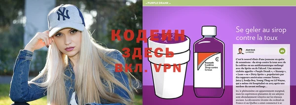 дмт Дмитров