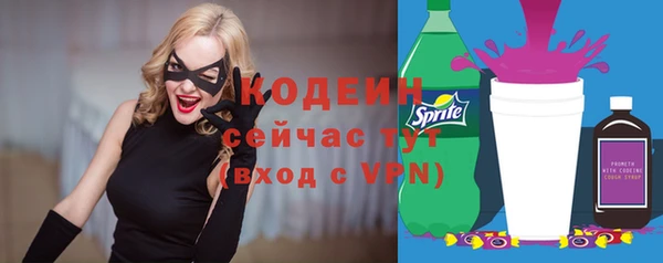 дмт Дмитров