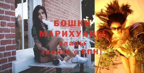амф Дмитриев