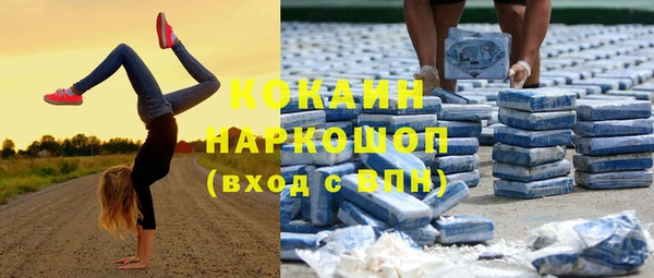 дмт Дмитров