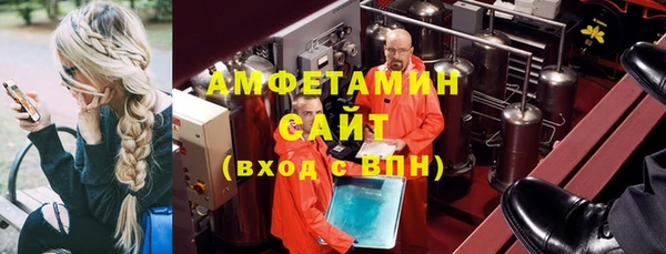амф Дмитриев