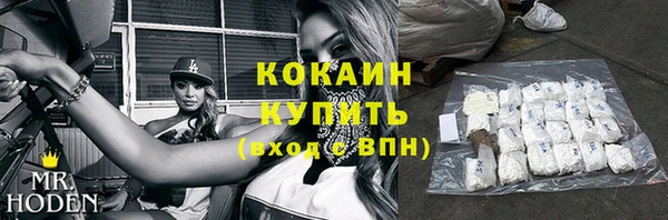 дмт Дмитров