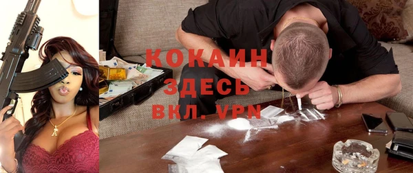 амф Дмитриев