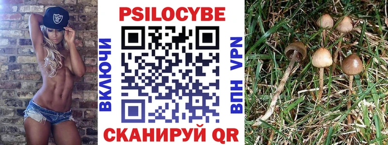 блэк спрут вход Светлый Галлюциногенные грибы GOLDEN TEACHER